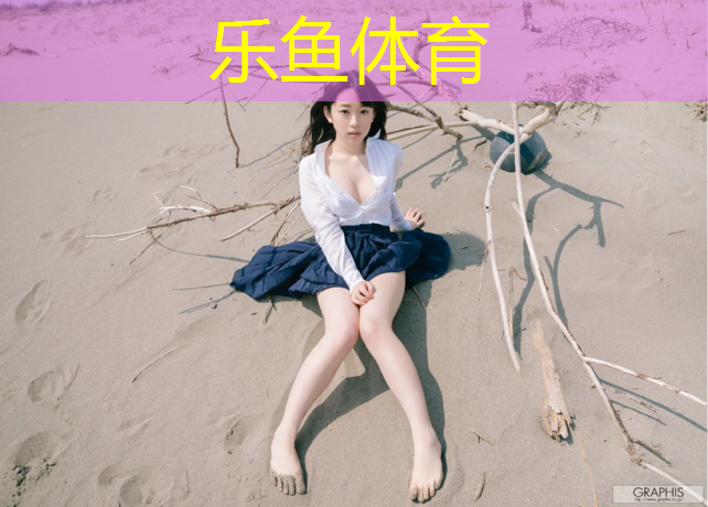 乐鱼体育,阳江球场塑胶跑道工程
